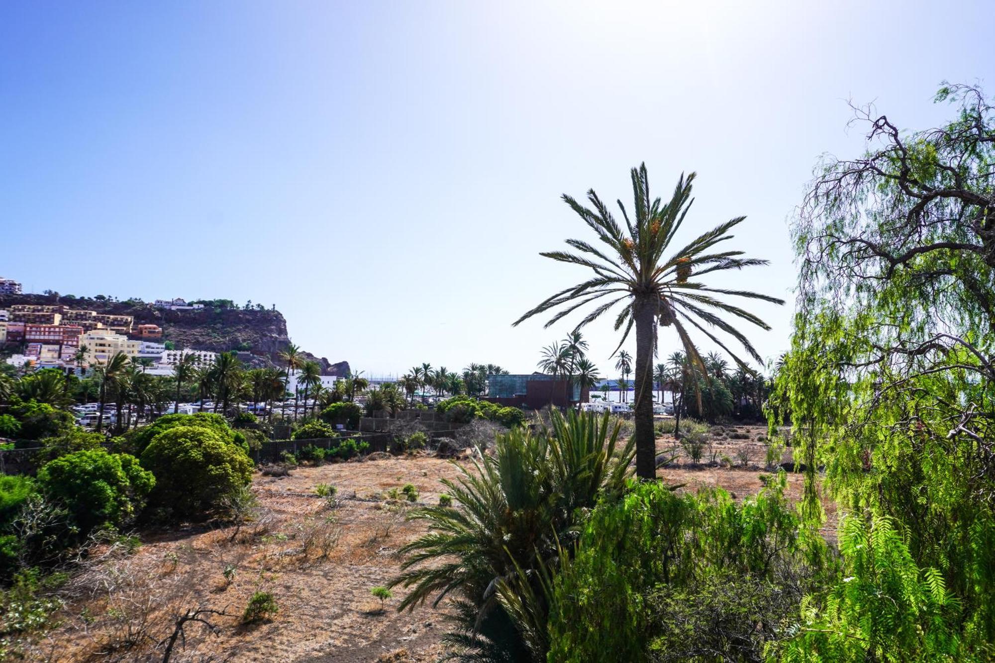 Gomera Playa 1, San Sebastian